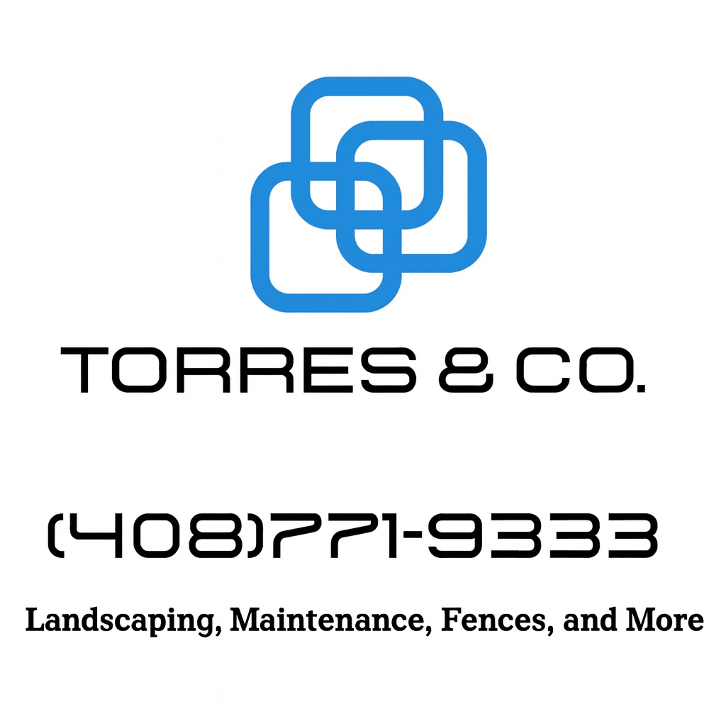 Torres & Co. Logo